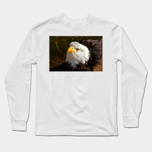 Bald Eagle in Splendor Long Sleeve T-Shirt